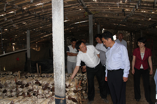 钱柜qg777(中国游)唯一官方网站